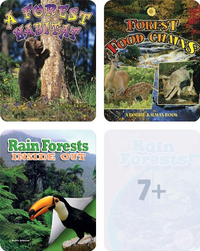 Deforestation Children s Book Collection Discover Epic 