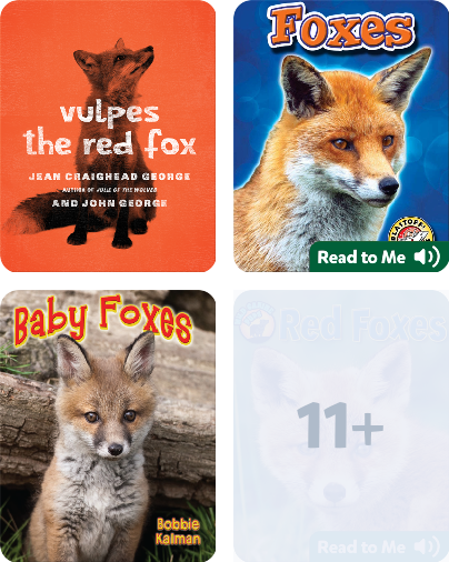 All About Foxes Childrens Book Collection Discover Epic Childrens