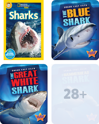 Sharks Childrens Book Collection Discover Epic Childrens Books