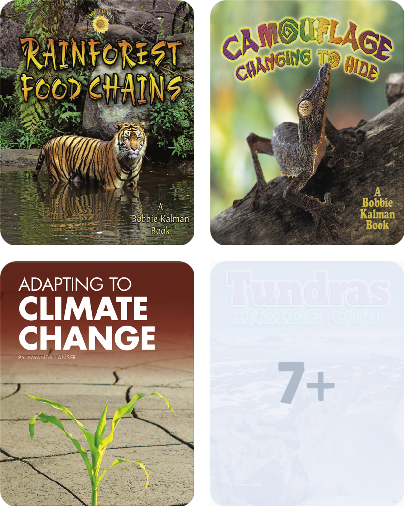Rainforest Food Chains Book by Bobbie Kalman, Molly Aloian | Epic