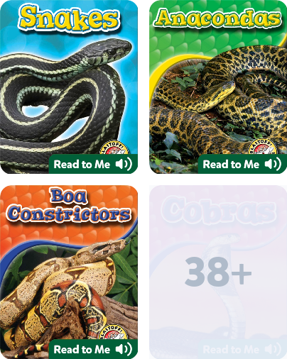 Green Anaconda Song Video | Discover Fun and Educational Videos That Kids  Love | Epic Children's Books, Audiobooks, Videos & More