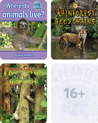 Rainforest Food Chains Book by Bobbie Kalman, Molly Aloian | Epic