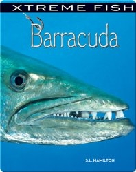 Xtreme Fish: Barracuda
