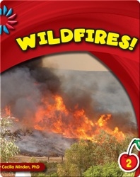 Wildfires!