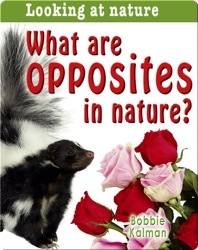 What Are Opposites In Nature?