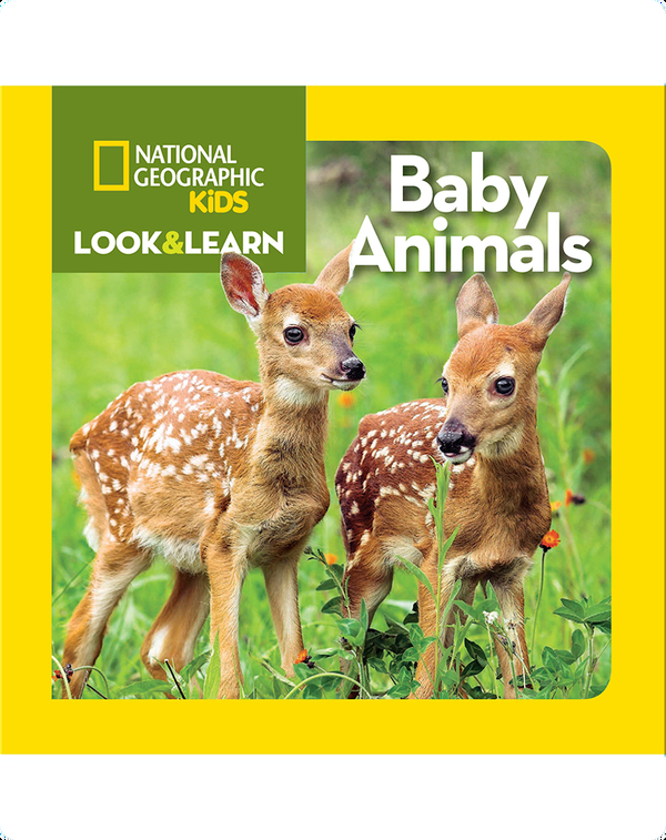 National Geographic Kids Look And Learn Baby Animals Children S Book By National Geographic Kids Discover Children S Books Audiobooks Videos More On Epic