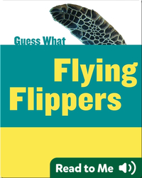 Flying Flippers