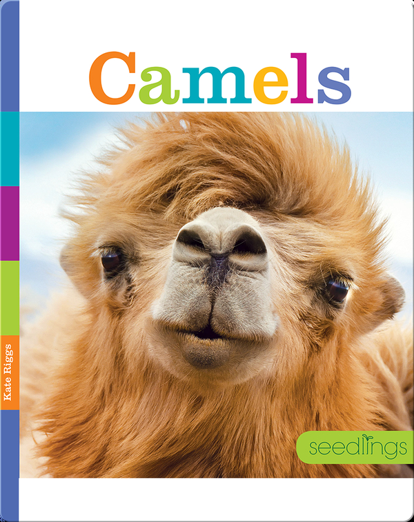 Camels Children's Book by Kate Riggs | Discover Children's Books