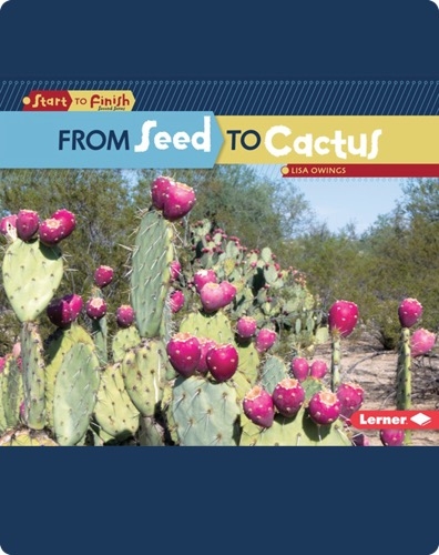 From Seed to Cactus