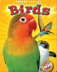 Animal Classes: Birds