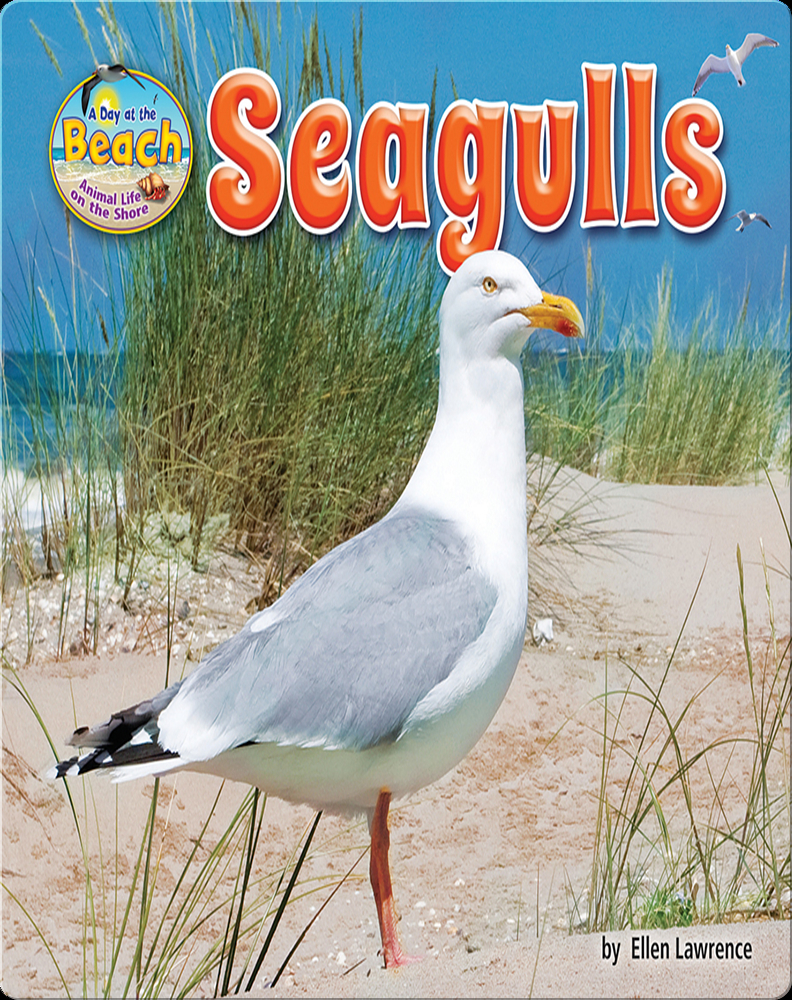 Seagulls Children's Book by Ellen Lawrence Discover Children's Books