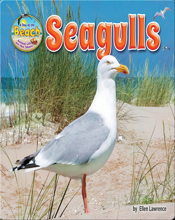 Seagulls Children’s Book by Ellen Lawrence | Discover Children’s Books