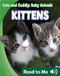 Cute and Cuddly: Kittens