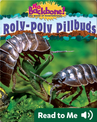 Roly-Poly Pillbugs
