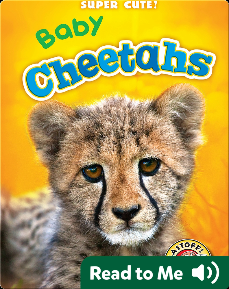 Super Cute! Baby Cheetahs Children's Book by Christina Leaf | Discover