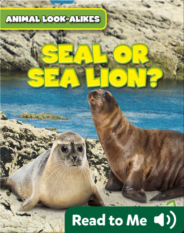 Seal Or Sea Lion Children S Book By Rob Ryndak Discover Children S Books Audiobooks Videos More On Epic