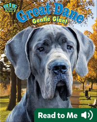 Great Dane: Gentle Giant
