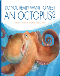 Do You Really Want To Meet An Octopus?
