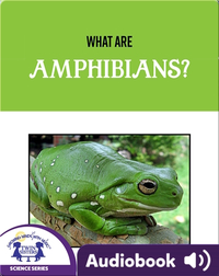 What Are Amphibians?
