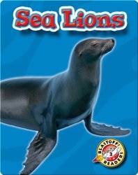 Sea Lions: Oceans Alive