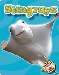 Stingrays: Oceans Alive