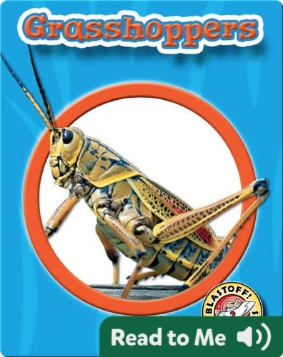 Grasshoppers: World of Insects