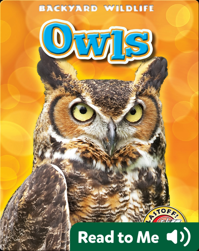 Owls Backyard Wildlife Children's Book by Kari Schuetz Discover Children's Books, Audiobooks