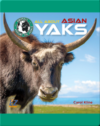 All About Asian Yaks