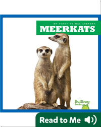 My First Animal Library: Meerkats