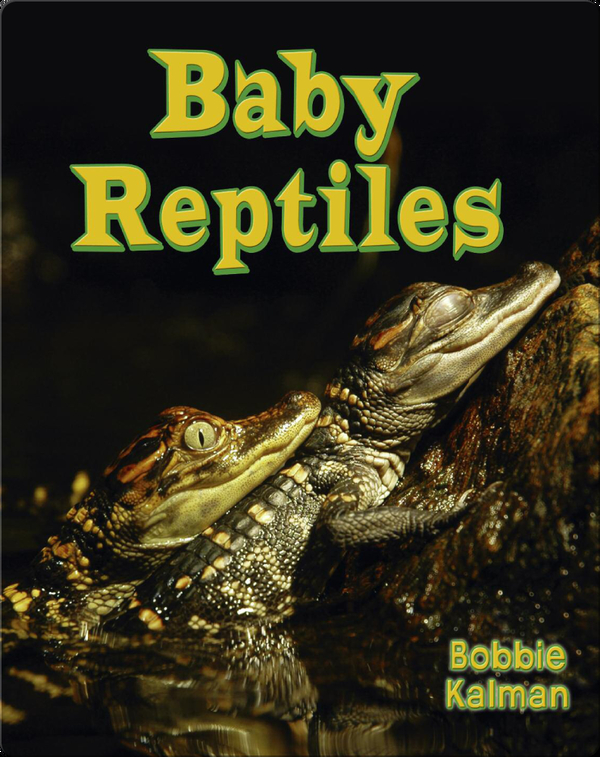 Baby Reptiles Children's Book by Bobbie Kalman Discover Children's Books, Audiobooks, Videos