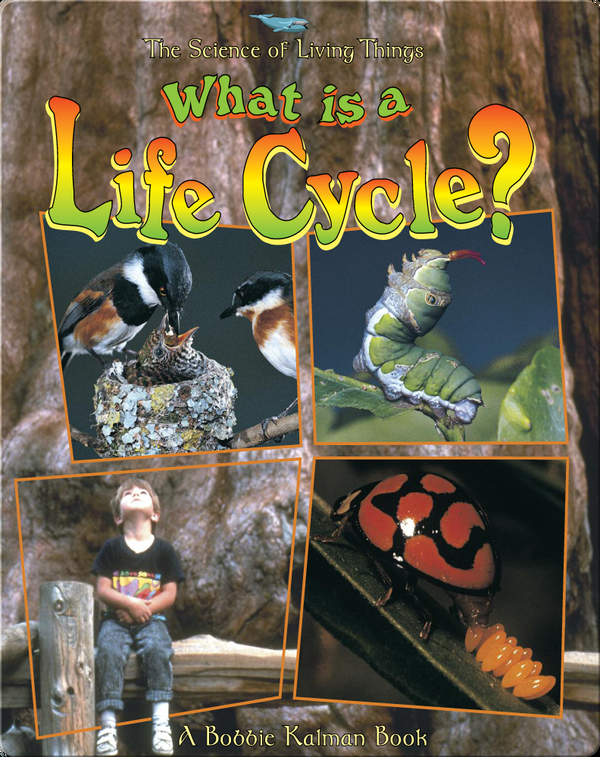 What Is A Life Cycle Children S Book By Bobbie Kalman Jacqueline Langille Discover Children S Books Audiobooks Videos More On Epic