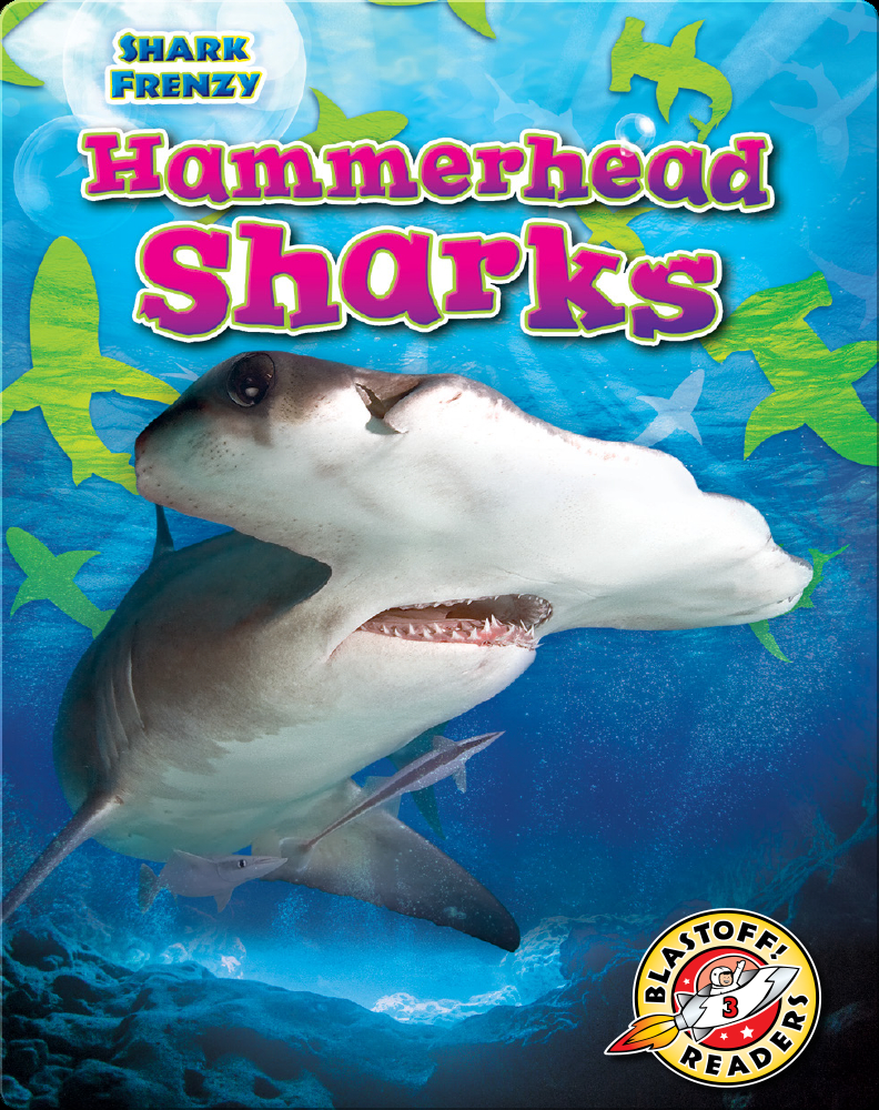 Shark Frenzy Hammerhead Sharks Children's Book by Rebecca Pettiford