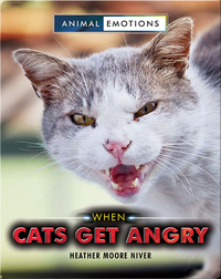 When Cats Get Angry