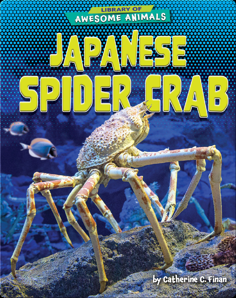 Awesome Animals Japanese Spider Crab Children S Book By Catherine C Finan Discover Children S Books Audiobooks Videos More On Epic