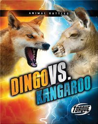 Animal Battles: Dingo vs. Kangaroo