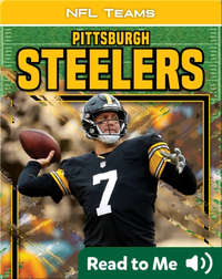 NFL Teams: Pittsburgh Steelers