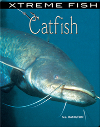 Xtreme Fish: Catfish