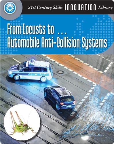 From Locusts to... Automobile Anti-Collision Systems