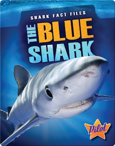 Shark Fact Files: The Blue Shark