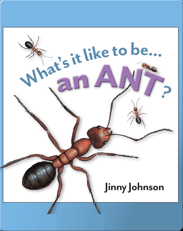 What's It Like To Be An Ant?