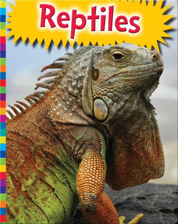 Reptiles Children's Book by Michelle Levine Discover Children's Books, Audiobooks, Videos