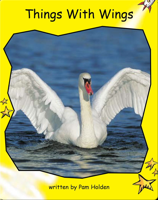 Things with Wings Children's Book by Pam Holden Discover Children's