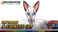 How to Draw a Siamese Cat
