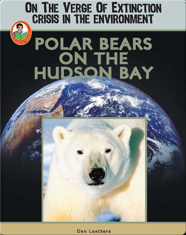 Polar Bears on the Hudson Bay