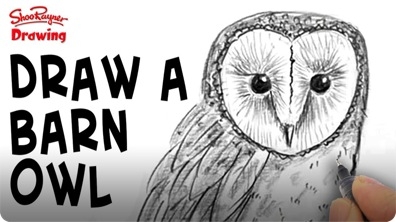 How to Draw a Barn Owl