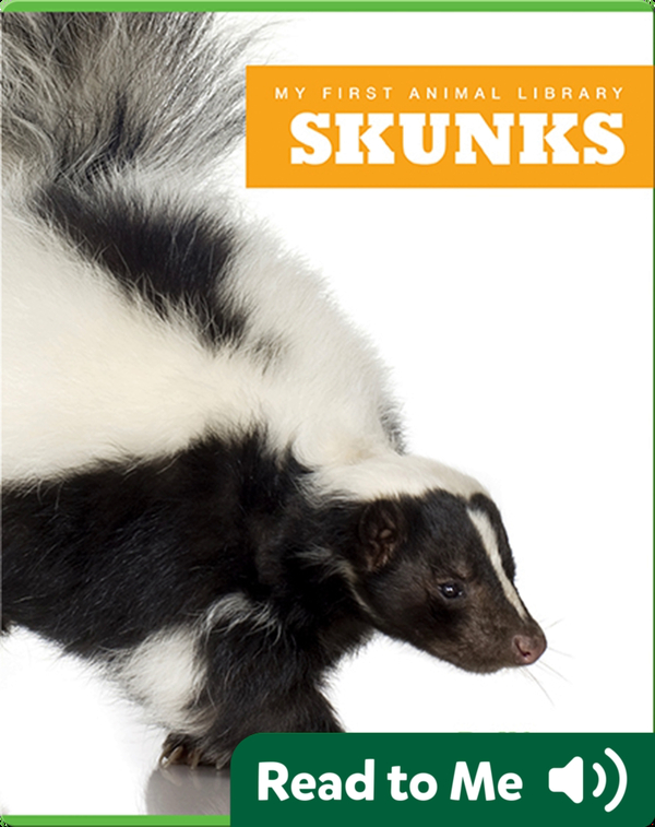 My First Animal Library Skunks Children's Book by Mari Schuh