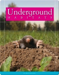 Underground Habitats