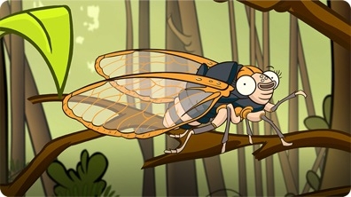 I'm a Cicada