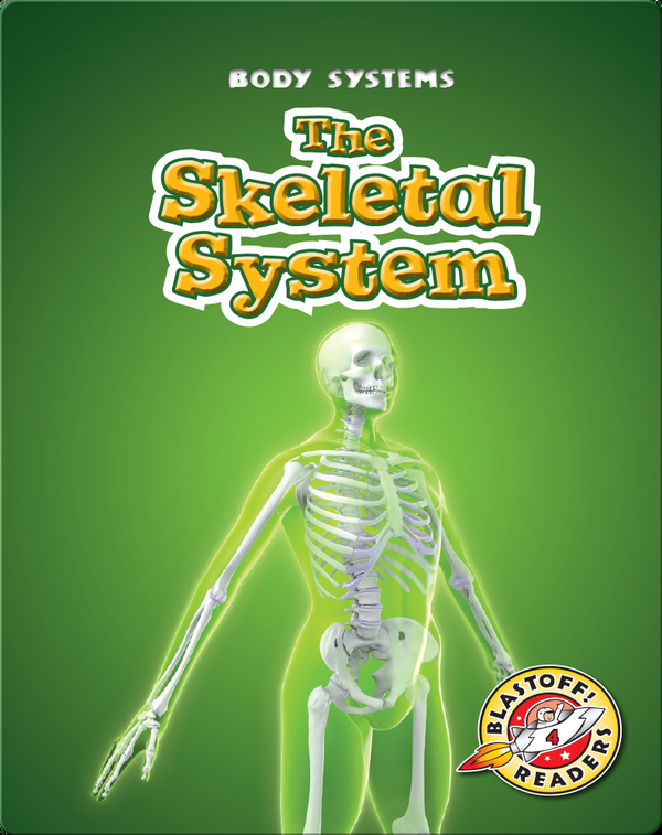 The Skeletal System Children's Book by Kay Manolis Discover Children's Books, Audiobooks