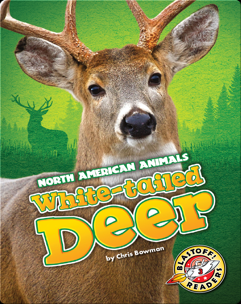 Whitetailed Deer Children's Book by Chris Bowman Discover Children's